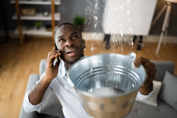Best Water damage cleanup near me  in Washington Court House, OH
