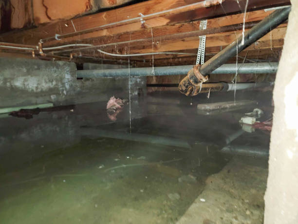 Best Residential water damage restoration  in Washington Court House, OH