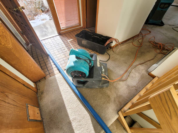 Best Flooded house restoration  in Washington Court House, OH