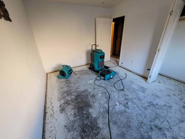 Best Fire Damage Restoration  in Washington Court House, OH