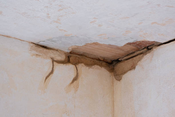 Best Fire Damage Restoration  in Washington Court House, OH