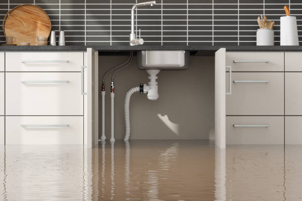 Best Water damage restoration near me  in Washington Court House, OH